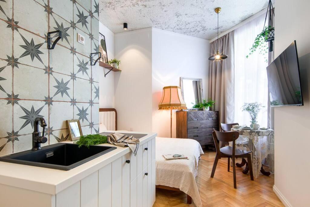克拉科夫Bohemian Style Apt In The Centre公寓 外观 照片